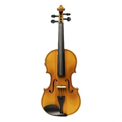 Afbeelding van Stagg Electrische Viool SOLID 4/4