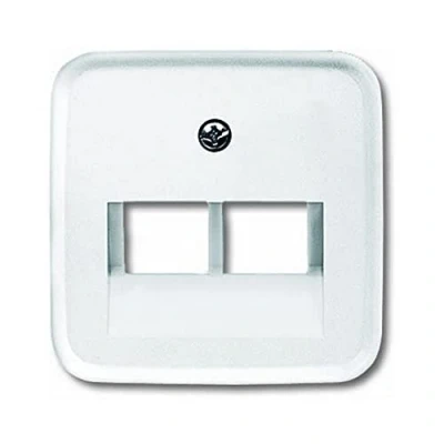 Afbeelding van Busch Jaeger centraalplaat voor datadoos 2 x RJ45 alpin wit 1803 02 214