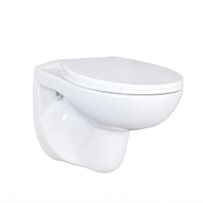 Afbeelding van Aqua Blue Universeel hangtoilet, wandtoilet, spoelrandloos, diepspoeler, afvoer horizontaal, wit, toilet, wandmontage