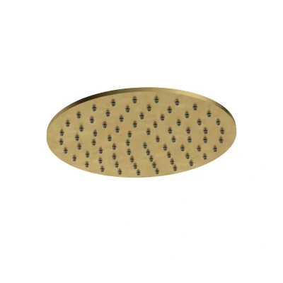 Afbeelding van HotBath Archie Hoofddouche Rond 200 mm Geborsteld Messing PVD AR198BBP