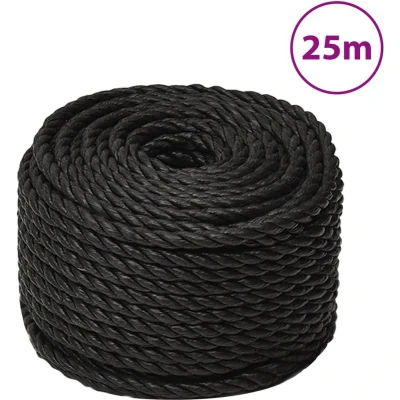 Afbeelding van vidaXL Werktouw 24 mm 25 m polypropeen zwart
