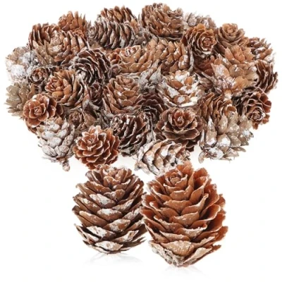 Afbeelding van COM FOUR® 50x decoratieve lariks kegels verspreide decoraties voor herfst en winter kegeldecoraties kleine dennenappels (50x wit)