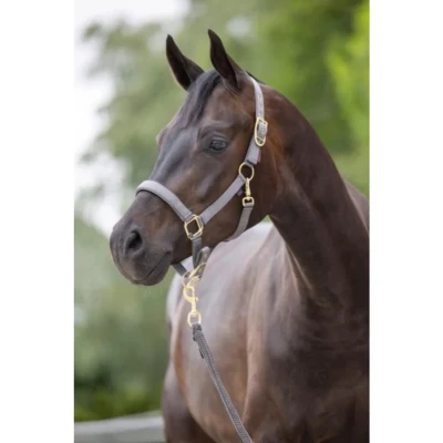Afbeelding van Covalliero Halster Classy Stone Cob