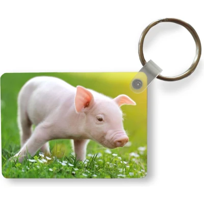Afbeelding van Sleutelhanger Dieren Biggetje Varken Uitdeelcadeautjes Plastic