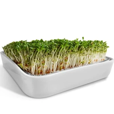 Afbeelding van ZELLGUT® Kresseszeef, tuinkers, kweekschaal, kiemschaal, 12 cm, keramische schaal + roestvrijstalen zeef, kiemapparaat voor het kweken van microgreens, kiemzaden