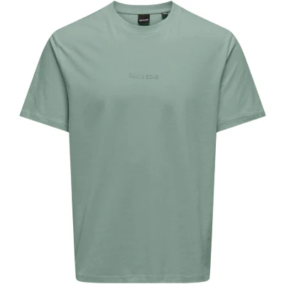 Afbeelding van Only &amp; Sons T shirt Onslevi Life Reg Text Ss Tee Noos 22028147 Iceberg Green/logo Tone Mannen Maat XL