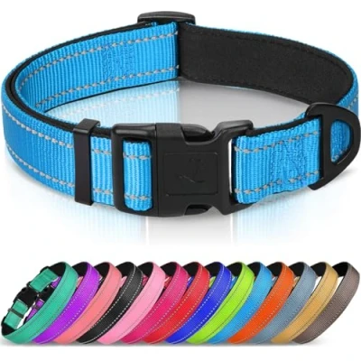Afbeelding van Joytale Hondenhalsband met Veiligheidsgesp, Reflecterende Verstelbare Halsbanden Zachte Neopreen Vulling Huisdier, Veiligheidskraag voor Kleine Honden Huisdieren, S, Lichtblauw
