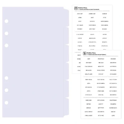 Afbeelding van DY.2ten Witte ordners, tabbladen, A6, 6 gaten, vellen, kunststof map, index, voor ringband, notitieboek, planner (17 cm x 9,4 cm)