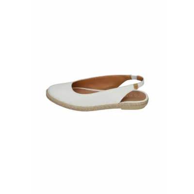 Afbeelding van Ballerina&#039;s Verbenas
