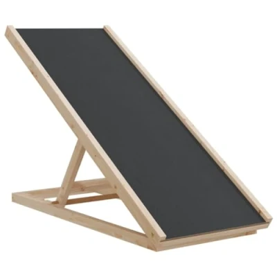 Afbeelding van vidaXL Hondenloopplank 100x40 cm massief vurenhout grijs