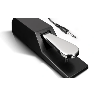 Afbeelding van Alesis ASP 2 Universeel Keyboard Sustainpedaal voor synthesizers, digitale piano&#039;s, MIDI keyboards en meer