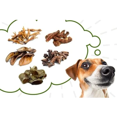 Afbeelding van MIX pack 5 favoriete natuurlijke smaken Hond behandelt koekjes Dental Chew Stix Snack Pet Munchies Gift