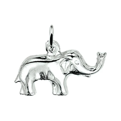 Afbeelding van Zilveren Hanger olifant 1009104