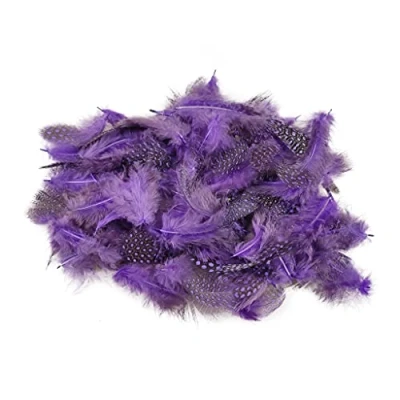 Afbeelding van Netuno 150 paarse decoratieve vogel veren 6g parelhoen gestippelde Craft natuur voor DIY Crafting pasen kerstmis maskers bruiloftsfeesten