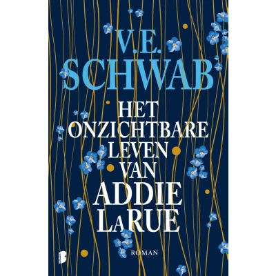 Afbeelding van Het onzichtbare leven van Addie LaRue