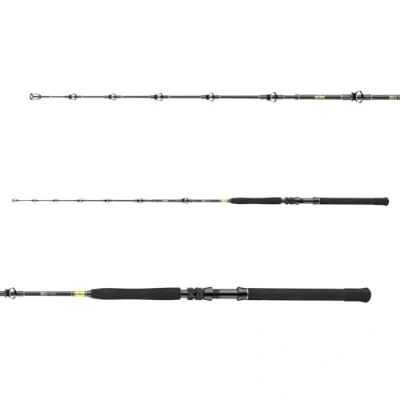 Afbeelding van Daiwa BG Big Game Zeevis Boothengel 1.68m 30 50lb (3 Delig)