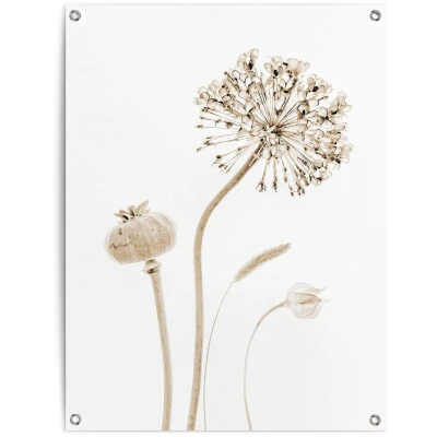 Afbeelding van Reinders! Poster Droogbloemen