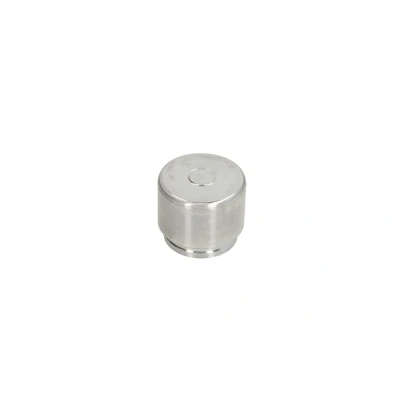 Afbeelding van Autofren Seinsa Remzadel/remklauw zuiger D025693
