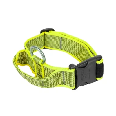Afbeelding van IDC Color&amp;Gray Halsband met Handvat, Veiligheidsslot en Verwisselbare Labels, 40 mm (38 53 cm), Neon Grijs
