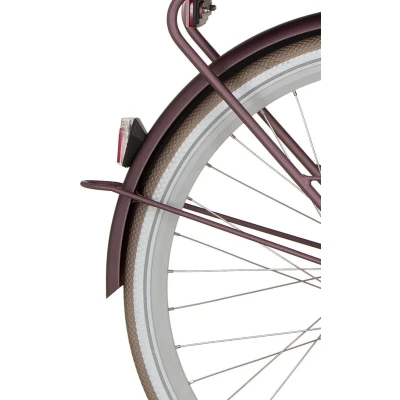 Afbeelding van Cortina Spatbord achter 28 E U4 BF spicy silver matt