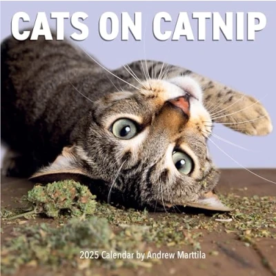Afbeelding van Cats on Catnip Wall Calendar 2025
