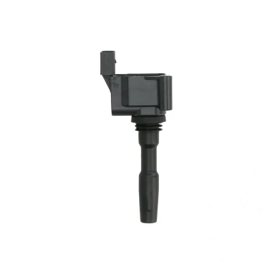 Afbeelding van Bobine DELPHI GN11034 12B1