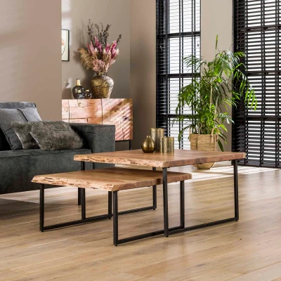 Afbeelding van Hoyz Salontafel Edge Set Acacia hout 2 stuks 80x80x45