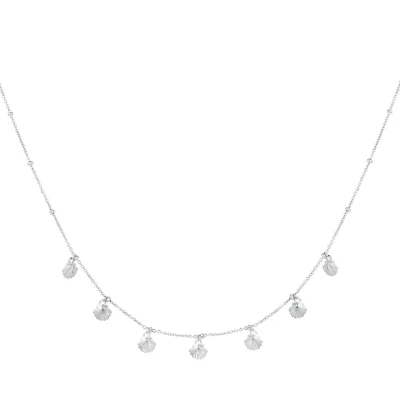 Afbeelding van Ketting schelpjes zilver