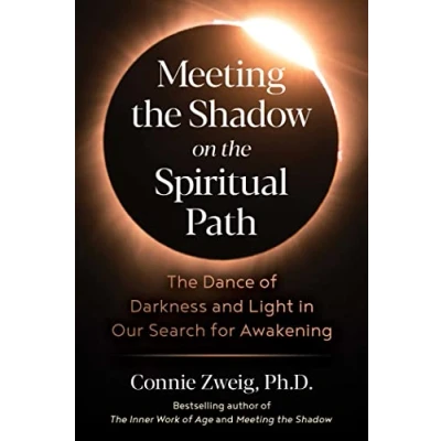 Afbeelding van Meeting The Shadow on Spiritual Path: Dance of Darkness and Light in Our Search for Awakening