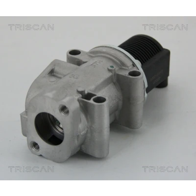 Afbeelding van Triscan EGR klep 8813 15032