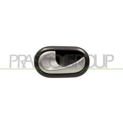 Afbeelding van Handgreep, interieur PRASCO DA2208618