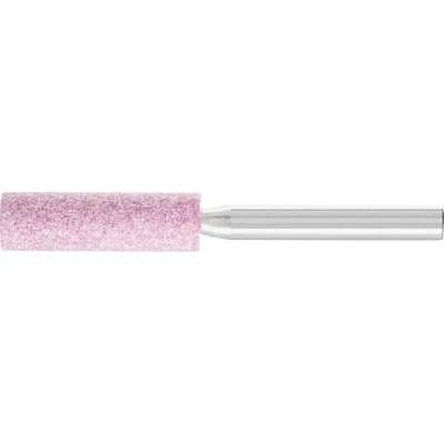 Afbeelding van PFERD 31120258 Schuurpen Diameter 10 mm stuk(s)