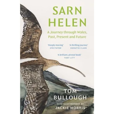Afbeelding van Sarn Helen: A Journey Through Wales, Past, Present and Future