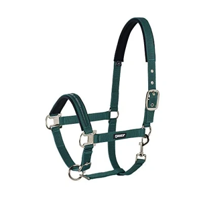 Afbeelding van Eskadron Halster pin buckle