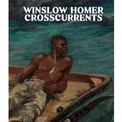 Afbeelding van Winslow Homer: Crosscurrents