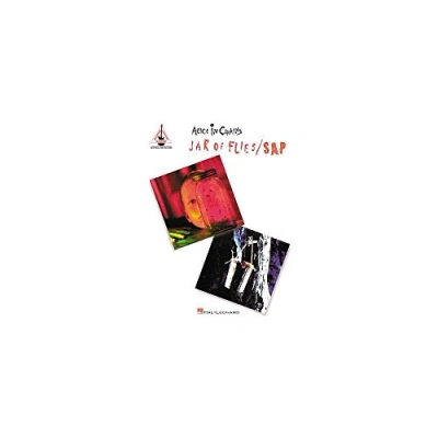 Afbeelding van Jar of Flies guitare: Sap