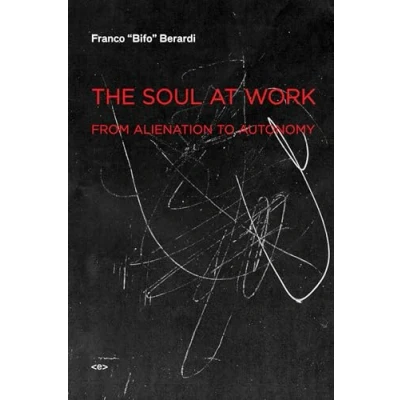 Afbeelding van The Soul at Work: From Alienation to Autonomy
