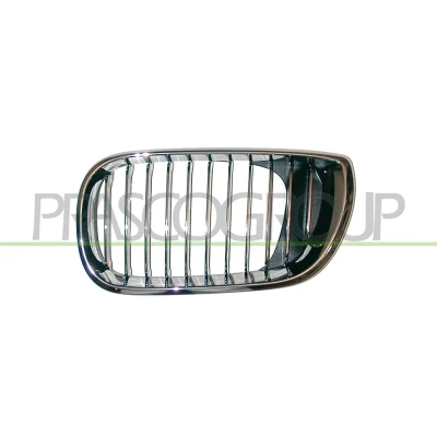 Afbeelding van Radiateurgrille PRASCO BM0202014