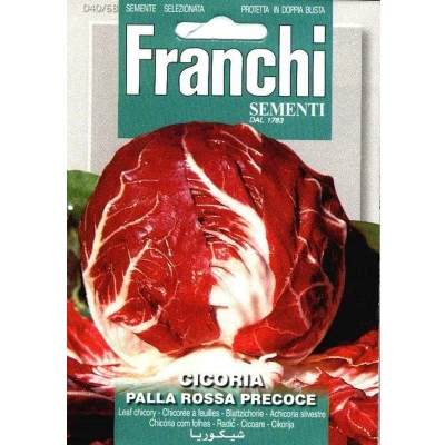 Afbeelding van Roodlof, Cicoria Palla Rossa Precoce