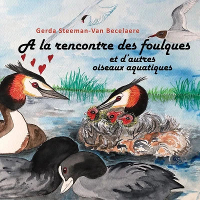 Afbeelding van A la rencontre des foulques et d&#039;autres oiseaux aquatiques
