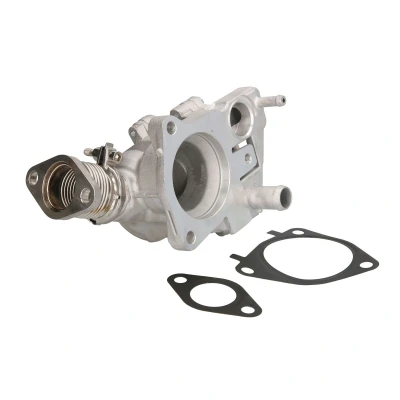 Afbeelding van EGR klep MAGNETI MARELLI 571822112099