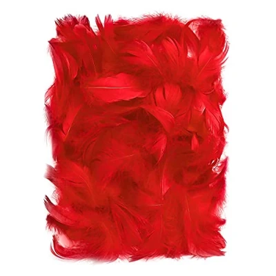 Afbeelding van Netuno 150 stuks rode decoratieve veren, 10 g pluisveren, sieradenveren, vogelveren, knutselveren, natuur, voor doe het zelf knutselen, decoratie, Pasen, Kerstmis, decoratiefiguur