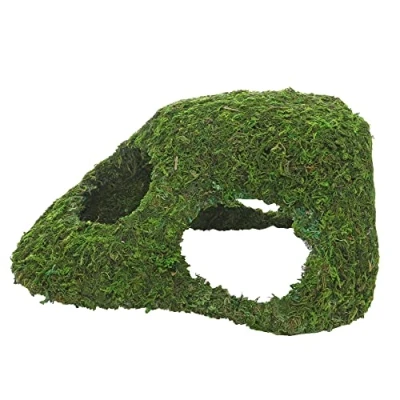 Afbeelding van Hobby 34606 Jungle Cave 4, 241 g