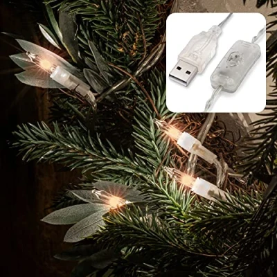Afbeelding van hellum Pisello 525144 led lichtsnoer voor binnen, 35 lichtkettingen met schakelaar, warm wit, reservelampen, lichtketting USB aansluiting, kabel transparant verlicht 228 cm,