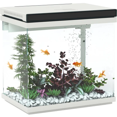 Afbeelding van PawHut 26 Liter Aquarium mit Filter, LED Beleuchtung, Wasserpumpe, für verschiedene Fischarten, 38 x cm