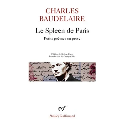 Afbeelding van Spleen De Paris
