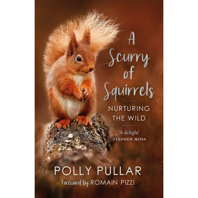 Afbeelding van A Scurry of Squirrels: Nurturing The Wild