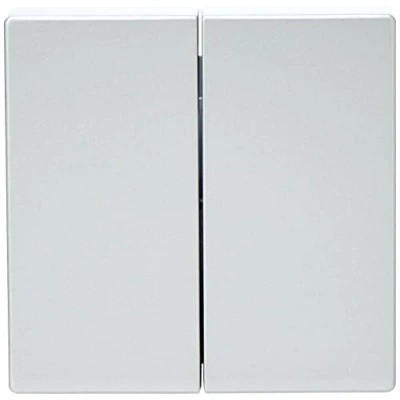 Afbeelding van Busch Jaeger 2CKA001751A2942 Serietoets Afdekking Witaluminium (RAL 9006), Aluminium