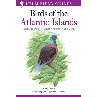 Afbeelding van A Field Guide to the Birds of Atlantic Islands: Canary Islands, Madeira, Azores, Cape Verde