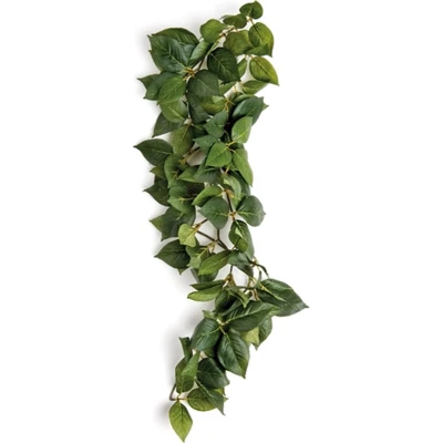 Afbeelding van Komodo Sumatra Hanging Vine 40 CM